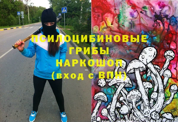 spice Армянск
